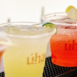 Uhaw Mobile Bar photo 5